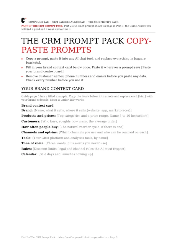 Copy-paste prompts preview